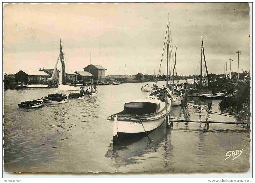 DEP 17 LA TREMBLADE BARQUE DE PECHE RENTRANT AU PORT - La Tremblade