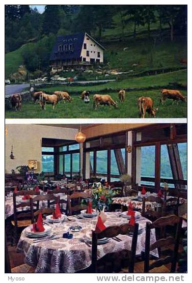 64 LARUNS Le Lorry Hotel Restaurant M Et Mme Mirgaudou Proprietaires, Vaches - Laruns