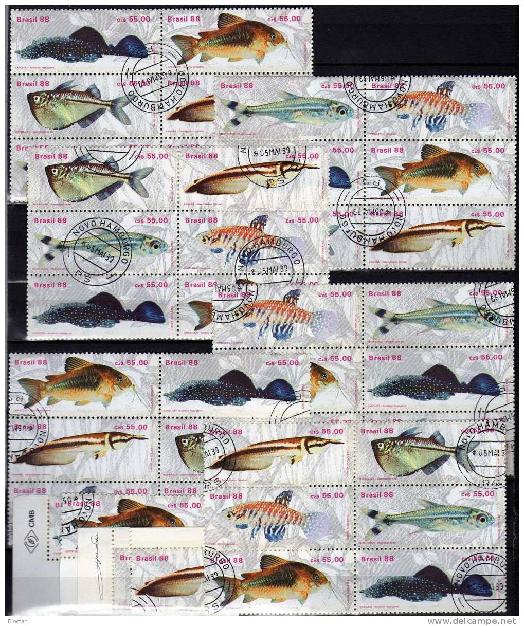 Fische Brasilien 2276/1,4xER+6-Block O 36€ WWF Bauchfisch Gabelbart Neon Kärpfling Glanz-Wels Blocs Fish Sheet Bf Brazil - Sammlungen (im Alben)