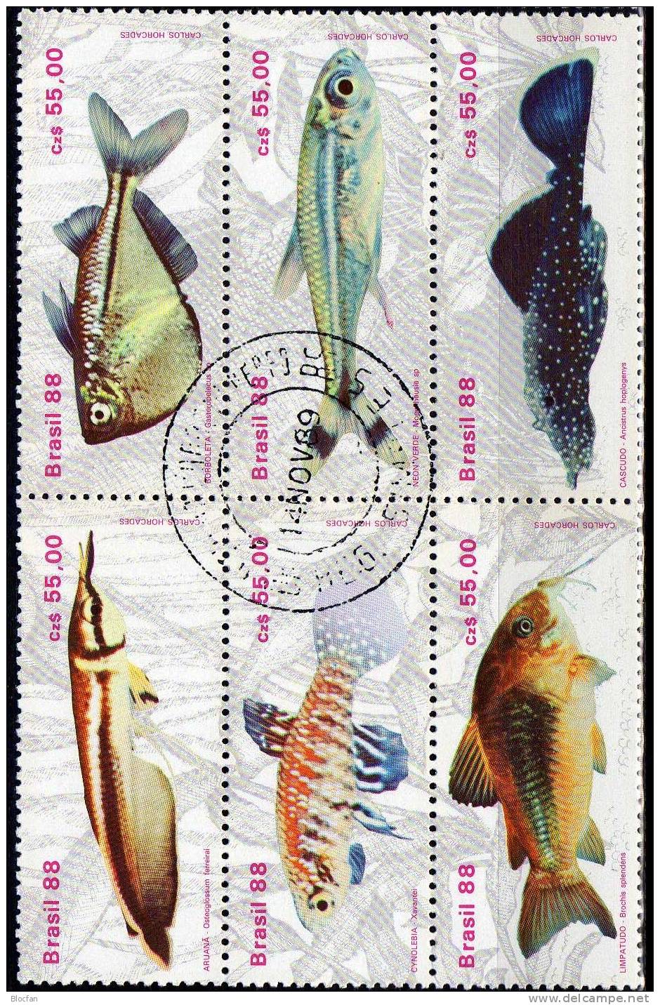 Fische Brasilien 2276/1,4xER+6-Block O 36€ WWF Bauchfisch Gabelbart Neon Kärpfling Glanz-Wels Blocs Fish Sheet Bf Brazil - Collections (en Albums)