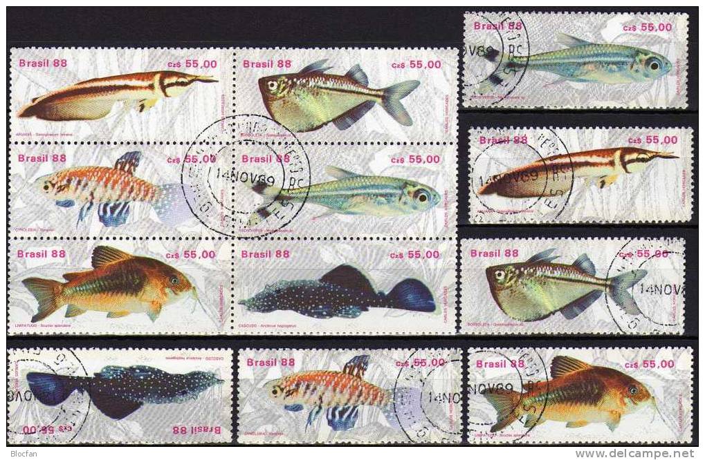 Fische Brasilien 2276/1,4xER+6-Block O 36€ WWF Bauchfisch Gabelbart Neon Kärpfling Glanz-Wels Blocs Fish Sheet Bf Brazil - Verzamelingen (in Albums)
