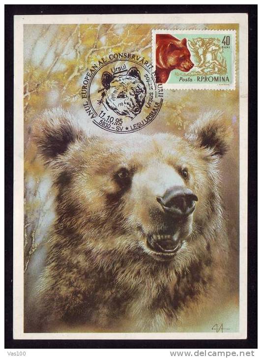 Bear Ours 1995 MAXICARD, ROMANIA. - Bears