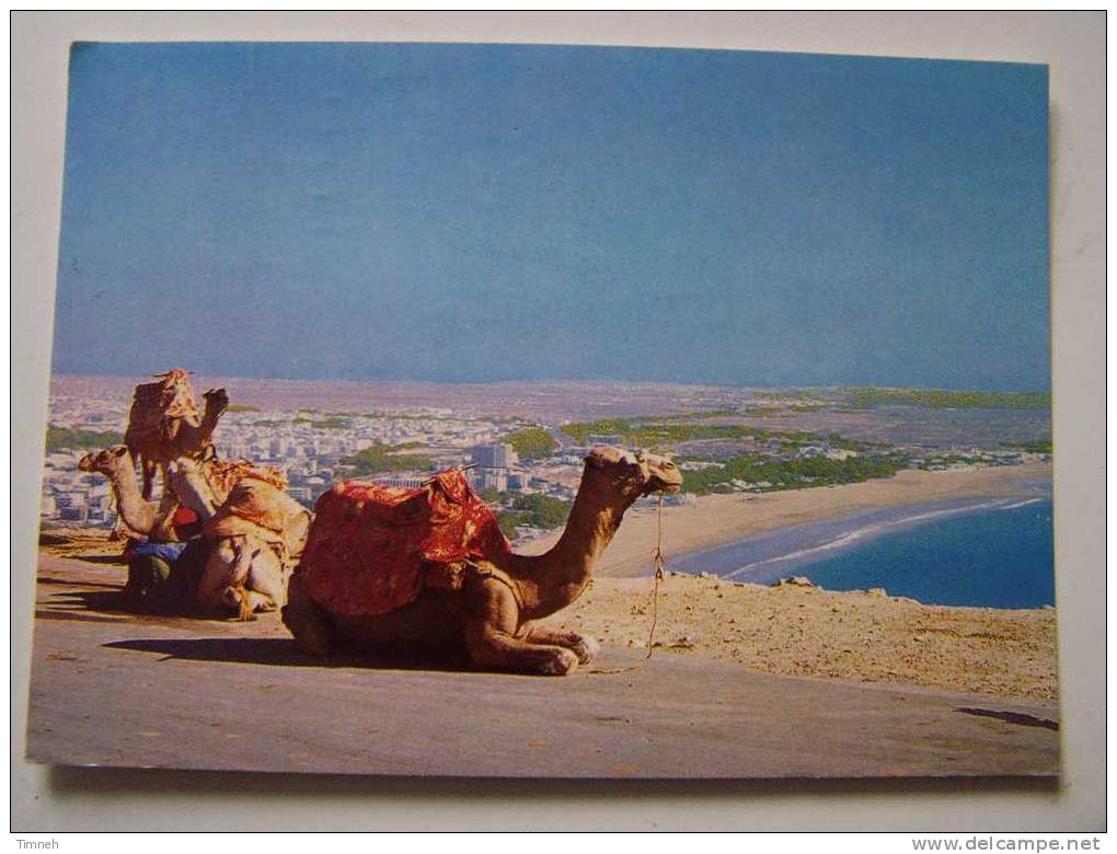 N°719.AGADIR-chameau-vue Générale Sur La Ville Au Fond-bord De Mer-casa-images-MAROC- - Agadir