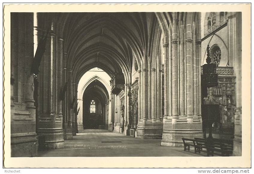 Palencia - Catedral Nave Lateral - Palencia