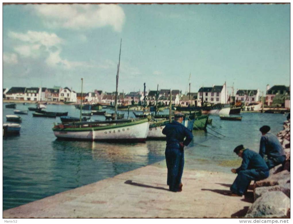 29 - LE GUIVINEC - Marins Pêcheurs Sur La Cale Du Port. (CPSM) - Guilvinec