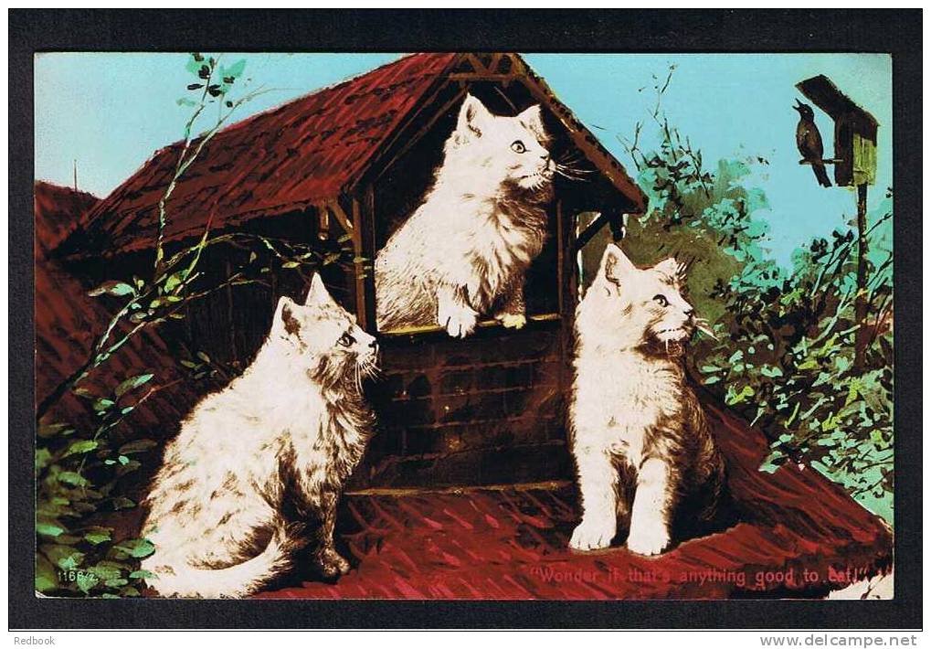 RB 674 -  1907 Real Photo Postcard Cats - "Wonder If That's Anything Good To Eat?" Animal Theme - Cats