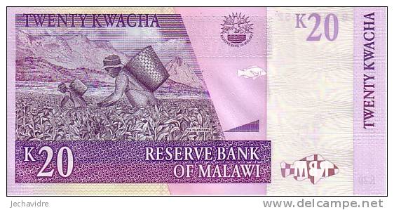 MALAWI  20 Kwacha  Daté Du 30-10-2009     ***** BILLET  NEUF ***** - Malawi