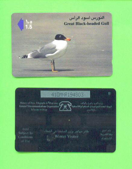 OMAN - Magnetic Phonecard As Scan - Oman