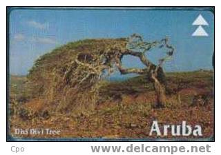 # ARUBA 12 Divi Divi Tree Photo 20 Landis&gyr   Tres Bon Etat - Aruba