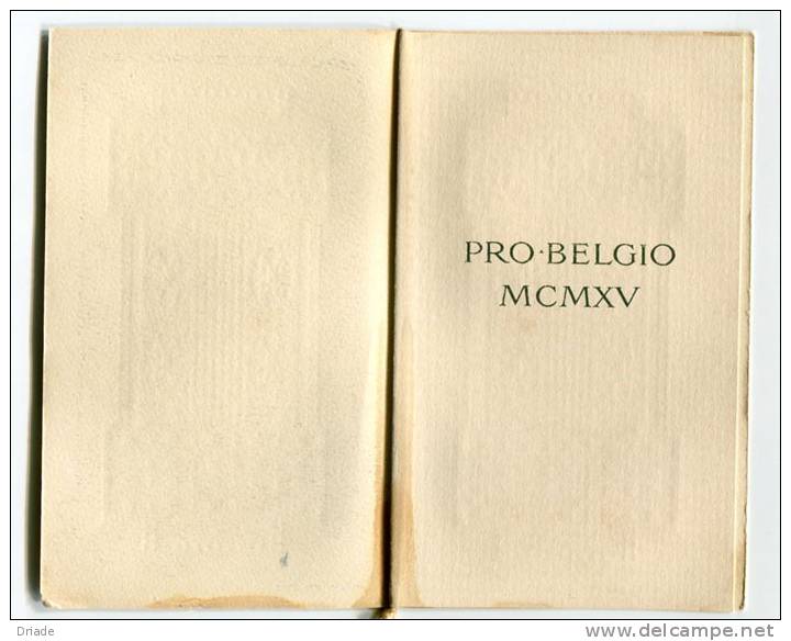 CALENDARIETTO PRO BELGIO ANNO 1915 ILLUSTRATORE GIOVANNI MARIA MATALONI CON POESIA DI TRILUSSA POETA - Kleinformat : 1901-20