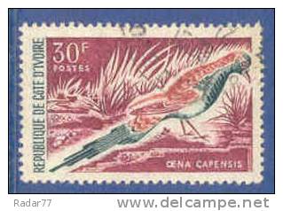 Cote D'Ivoire N°240 Tourterelle Oblitéré - Pigeons & Columbiformes