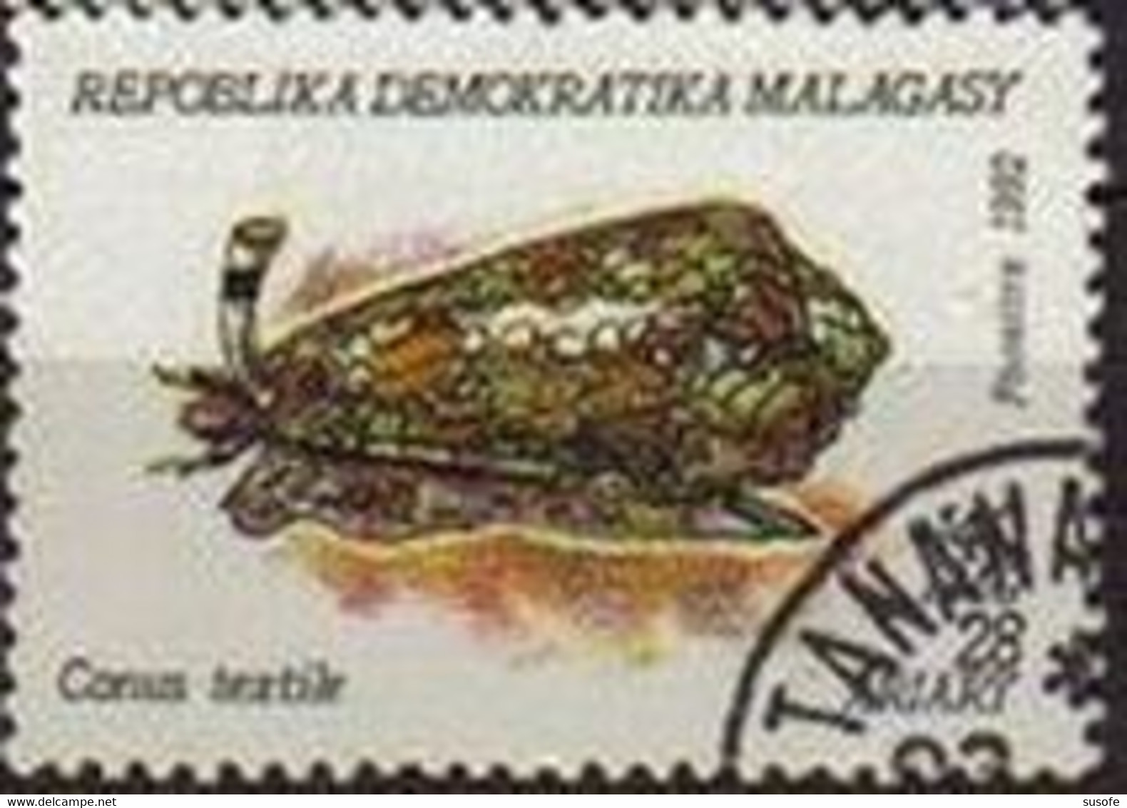 Madagascar 1993 Scott 1125 Sello * Fauna Moluscos Textile Cone (Conus Textile) Michel 1419 Yvert 1154 Malagasy Stamps - Madagascar (1960-...)