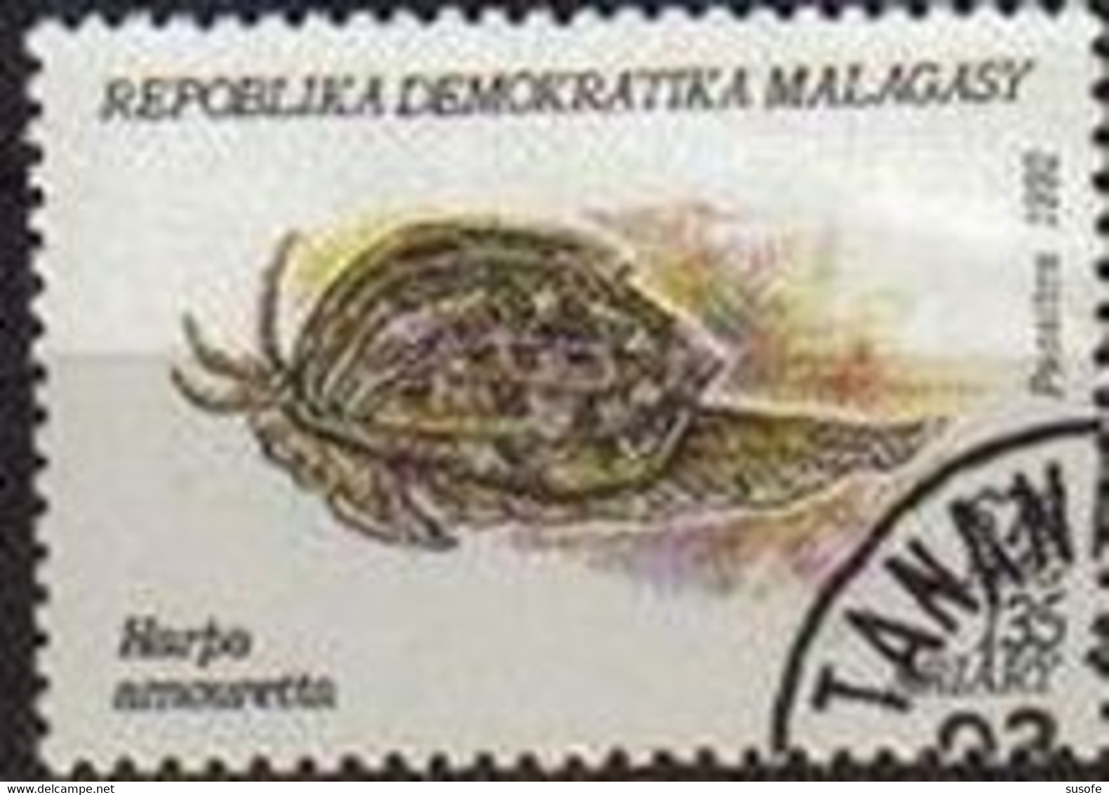 Madagascar 1993 Scott 1127 Sello * Fauna Moluscos Lesser Harp (Harpa Amouretta) Michel 1421 Yvert 1156 Malagasy Stamps - Madagascar (1960-...)