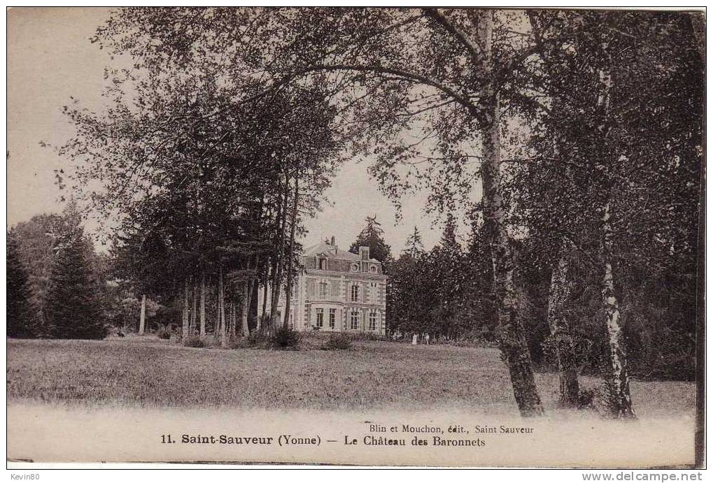89 SAINT SAUVEUR Le Château Des Baronnets - Saint Sauveur En Puisaye