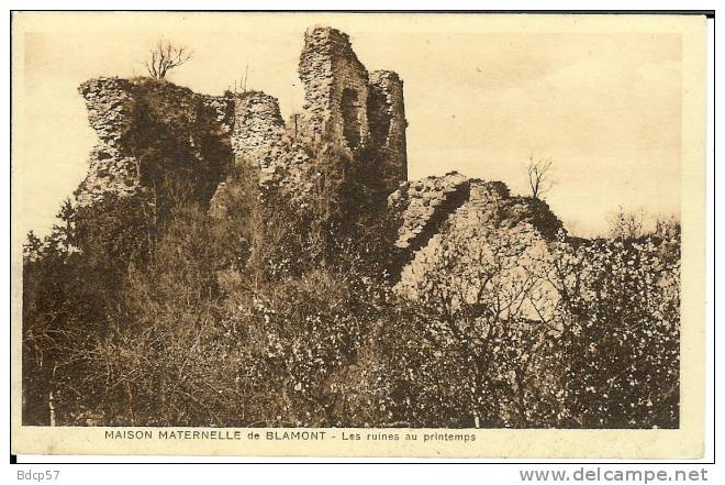 54 -  Meurthe Et Moselle - Maison Maternelle De BLAMONT - Les Ruines Au Printemps -  9 X 14 - Blamont