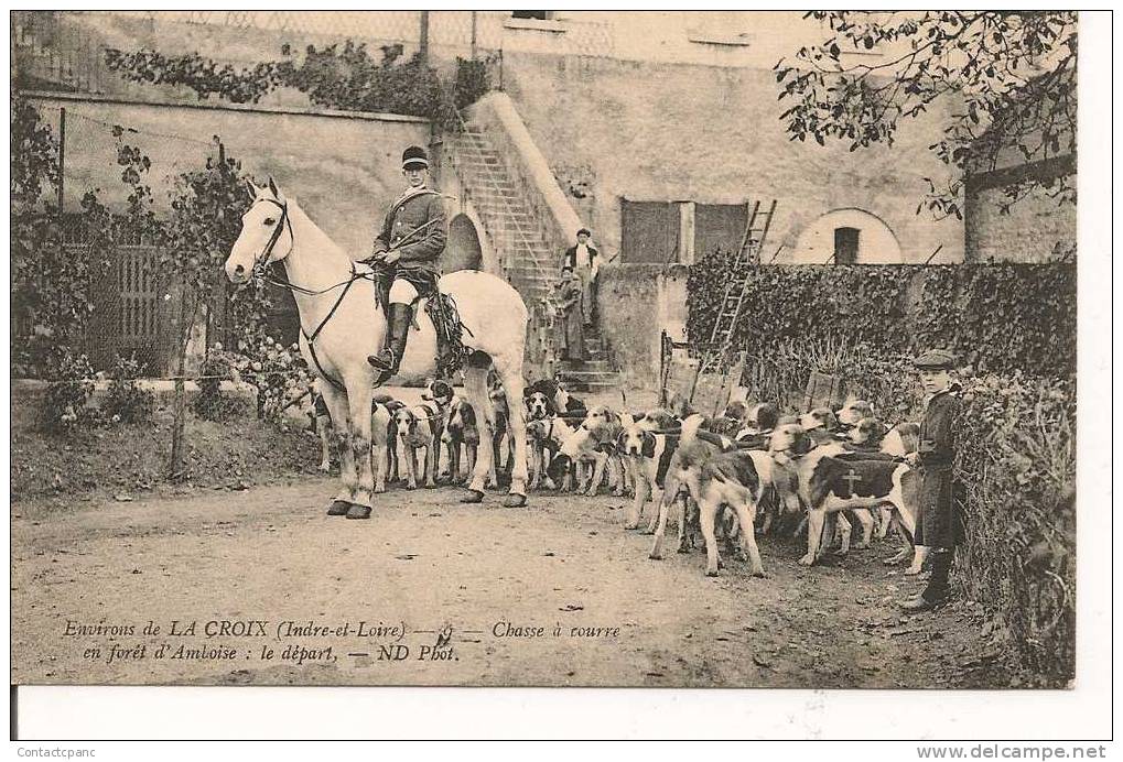 LA  CROIX  ( 37 ) - Chasse à Courre En Forêt D ´ Amboise - Autres & Non Classés