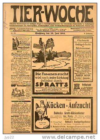 Zeitung Journal Tier-Woche Strasbourg 18-06-1914 En Allemand - Animal Animaux Vieilles Pub - Coq Faisan Vache élévage - Autres & Non Classés