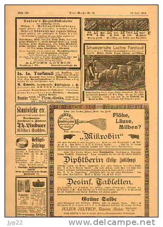 Zeitung Journal Tier-Woche Strasbourg 18-06-1914 En Allemand - Animal Animaux Vieilles Pub - Coq Faisan Vache élévage - Sonstige & Ohne Zuordnung