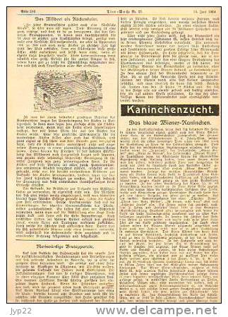 Zeitung Journal Tier-Woche Strasbourg 18-06-1914 En Allemand - Animal Animaux Vieilles Pub - Coq Faisan Vache élévage - Autres & Non Classés