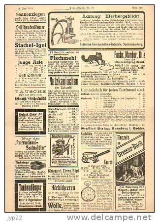 Zeitung Journal Tier-Woche Strasbourg 18-06-1914 En Allemand - Animal Animaux Vieilles Pub - Coq Faisan Vache élévage - Sonstige & Ohne Zuordnung