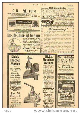 Zeitung Journal Tier-Woche Strasbourg 18-06-1914 en allemand - Animal Animaux vieilles Pub - coq faisan vache élévage