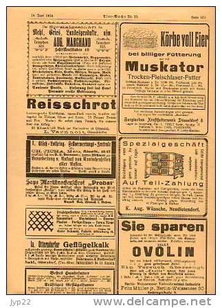 Zeitung Journal Tier-Woche Strasbourg 18-06-1914 en allemand - Animal Animaux vieilles Pub - coq faisan vache élévage