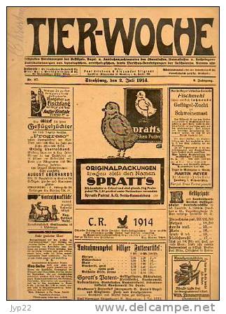 Zeitung Journal Tier-Woche Strasbourg 2-07-1914 En Allemand - Animal Animaux Vieilles Pub Agriculture élévage ... - Autres & Non Classés