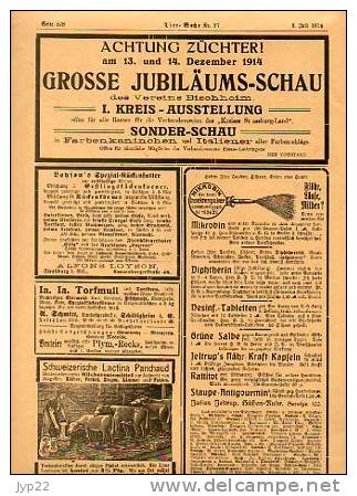 Zeitung Journal Tier-Woche Strasbourg 2-07-1914 En Allemand - Animal Animaux Vieilles Pub Agriculture élévage ... - Autres & Non Classés