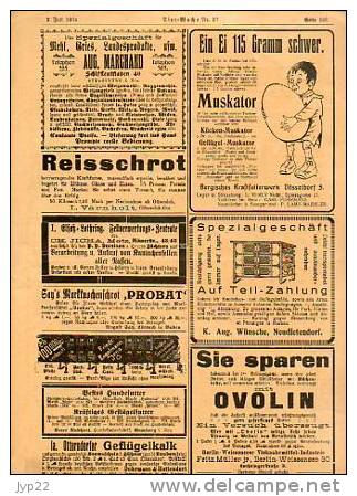 Zeitung Journal Tier-Woche Strasbourg 2-07-1914 En Allemand - Animal Animaux Vieilles Pub Agriculture élévage ... - Autres & Non Classés