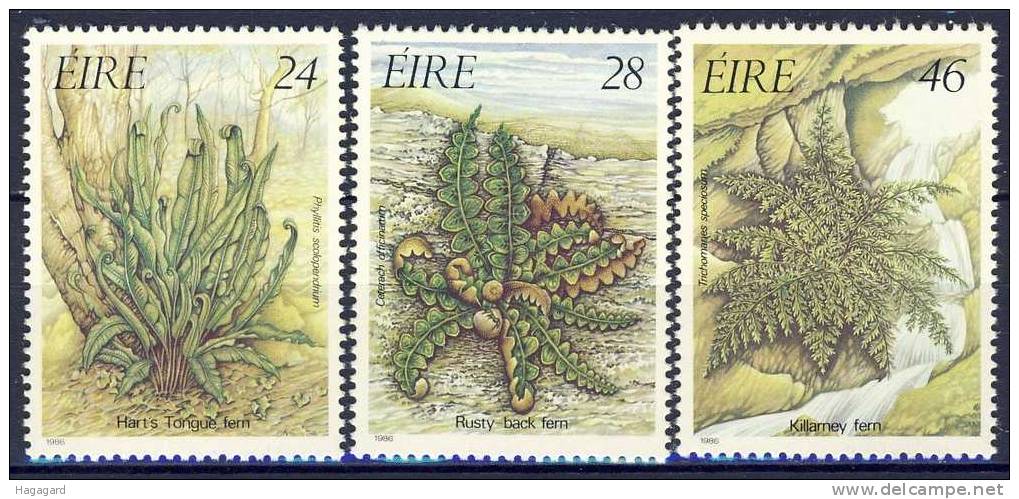 #Ireland 1986. Plants: Ferns. Michel 586-88. MNH(**) - Neufs