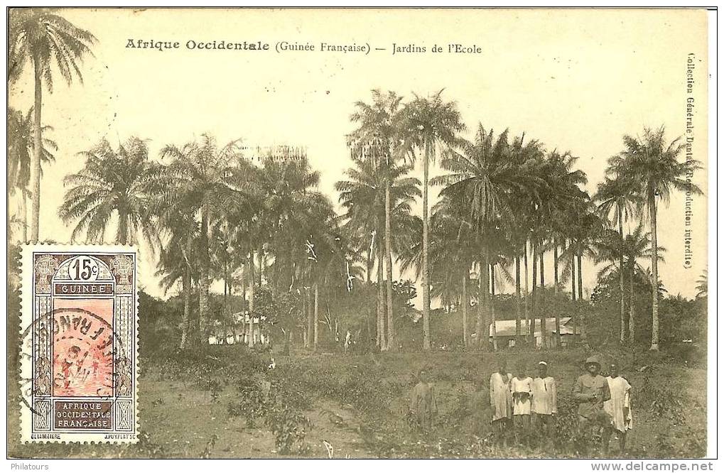 AFRIQUE OCCIDENTALE / GUINEE FRANCAISE - Jardins De L´Ecole - Guinée Française