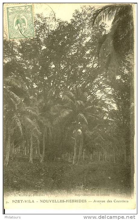 NOUVELLES-HEBRIDES  / PORT-VILA  -    Avenue Des Cocotiers - Autres & Non Classés