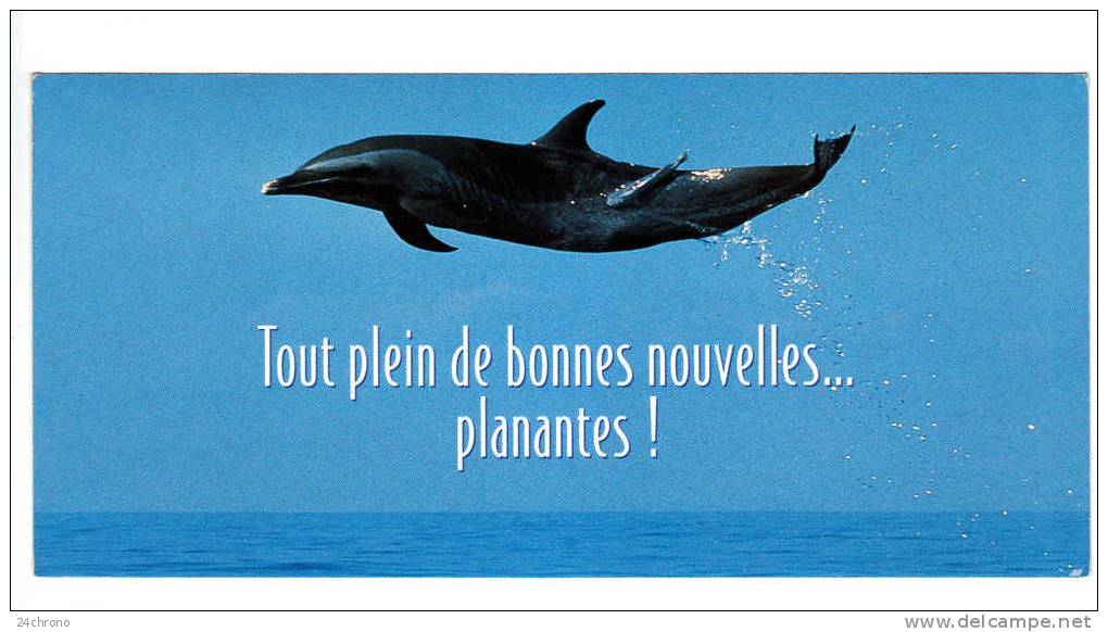 Dauphin: Tout Plein De Bonnes Nouvelles ... Planantes !, Photo Jim Watt (11-67) - Dolphins