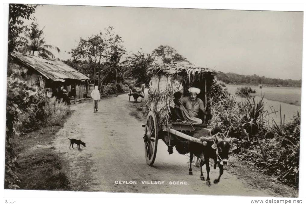 RP- CEYLON - VILLAGE SCENE WITH CART  (NICE ANIMATION)- A583 - Sri Lanka (Ceylon)