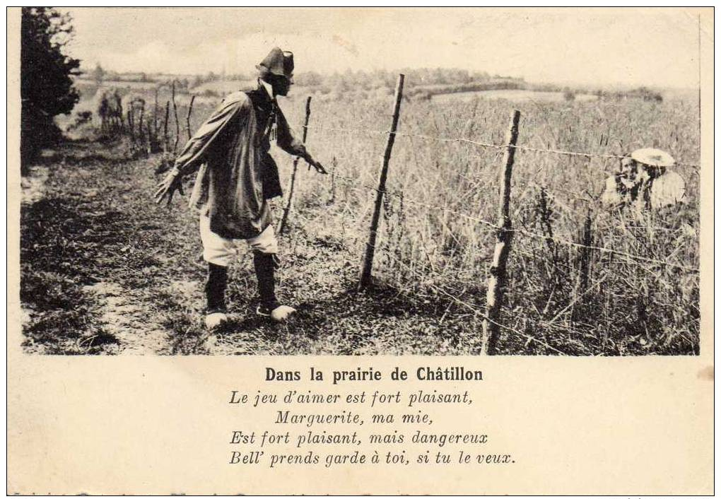 CPSM...CHANSONS DE LA BRESSE..DANS LA PRAIRIE DE CHATILLON....PRIX : 1, 49  € - Non Classés