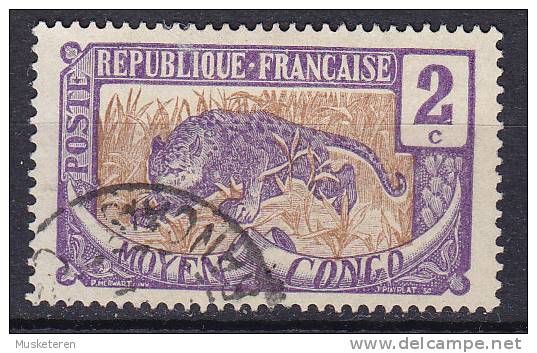French Moyen Congo 1907 Mi. 2   2 C Leopard - Autres & Non Classés
