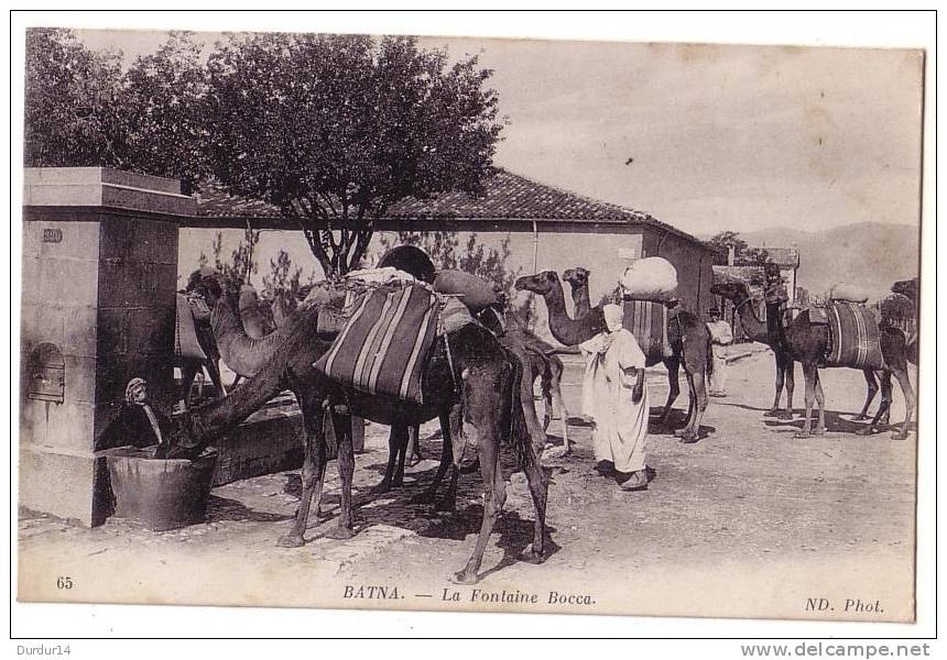 Afrique / Algérie /  BATNA /  La Fontaine Bocca    ( Carte En Bon état.....) - Batna