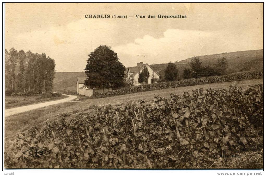 CHABLIS - Vue Des Grenouilles - Chablis