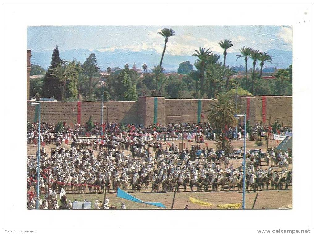 Cp, Maroc, Marrakech, Vue Partielle Du Rassemblement De 2000 Cavaliers De Fantasia, Voyagée - Marrakech