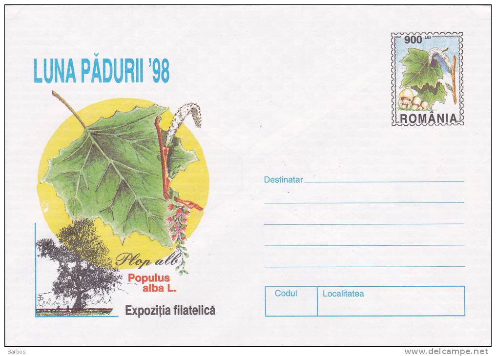 Romania    1998  Pre-paid Envelope.  Forest Moon Flora  Mushrooms - Sonstige & Ohne Zuordnung