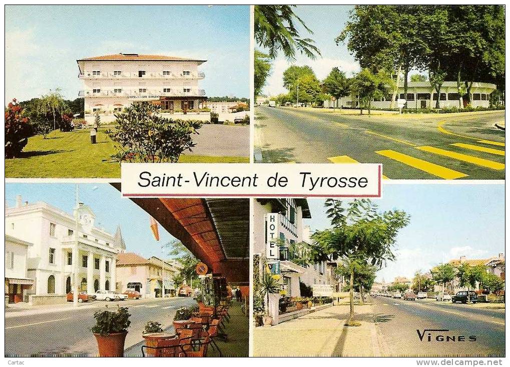 D40 - SAINT VINCENT DE TYROSSE - MULTIVUES - "VISAGE DES LANDES" - Saint Vincent De Tyrosse