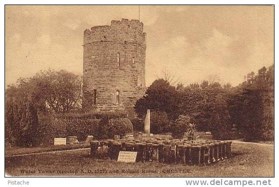 Chester England Angleterre - Water Tower & Roman Ruins - Neuve - 2 Scans - Lang & Co. - Chester