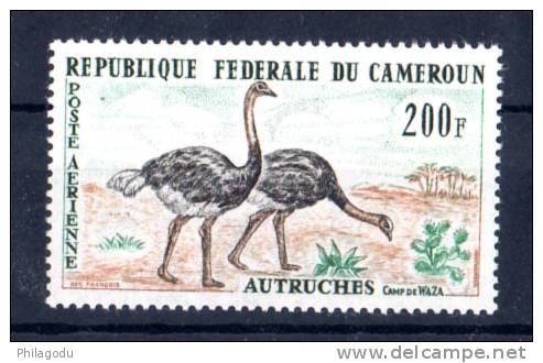 Cameroun 1962-63, Autruche, PA 55**, - Straussen- Und Laufvögel