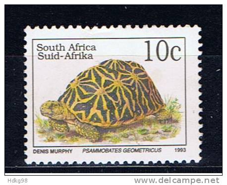 RSA+ Südafrika 1993 Mi 893A Mng Schildkröte - Used Stamps