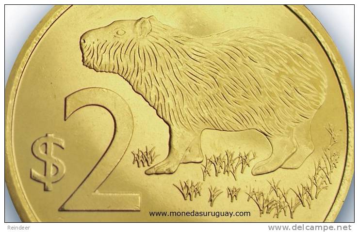 ® URUGUAY: Nueva Moneda $2 (2011) Animal: Carpincho - LOTE X5 - Uruguay