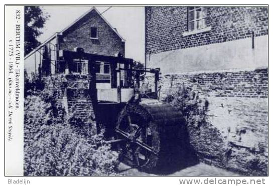 BERTEM (Vlaams-Brabant) - Molen/moulin - Blauwe Prentkaart Ons Molenheem Van De Verdwenen Eiken(veld)molen - Bertem