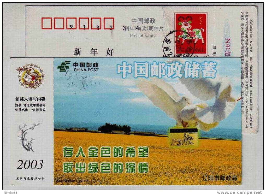 Pigeon,dove Bird,Oilseed Rape Petal Field,China 2003 Liaoyang Post Bank Saving Business Advertising Pre-stamped Card - Palomas, Tórtolas