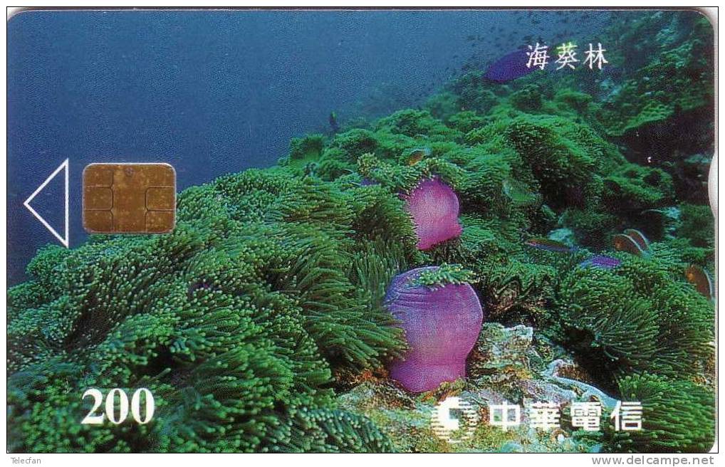 TAIWAN FLORE SOUS MARINE SUBMARINE 200U  VALID 2001/12/31  ANTIC CARD RARE - Taiwan (Formosa)