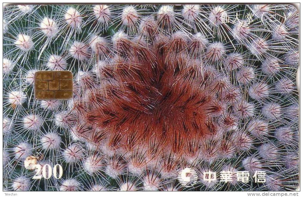 TAIWAN FLORE SOUS MARINE SUBMARINE 200U  VALID 2002/12/31  ANTIC CARD RARE - Taiwan (Formose)