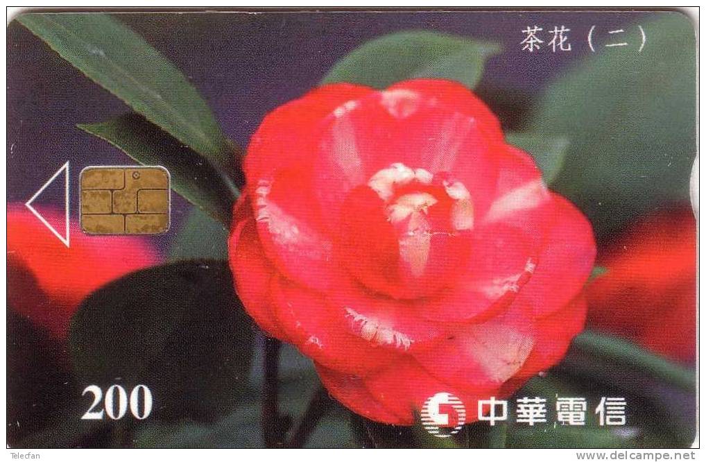 TAIWAN FLOWERS FLEUR ROSES 200U  VALID 2002/12/31  ANTIC CARD RARE - Taiwan (Formose)